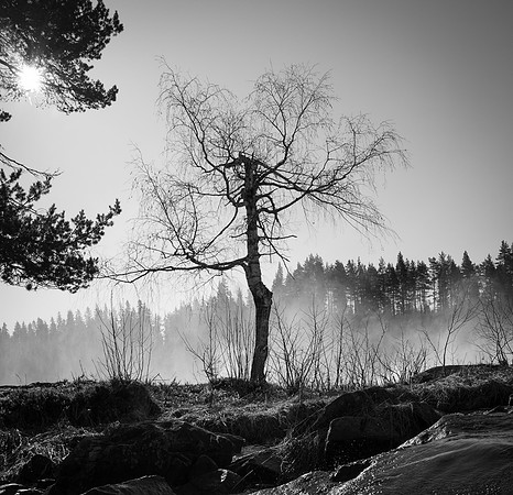 Storforsen, Norrbotten, Sweden