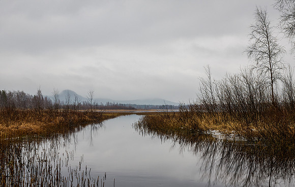 Swedish Lapland