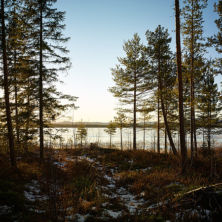 Swedish Lapland